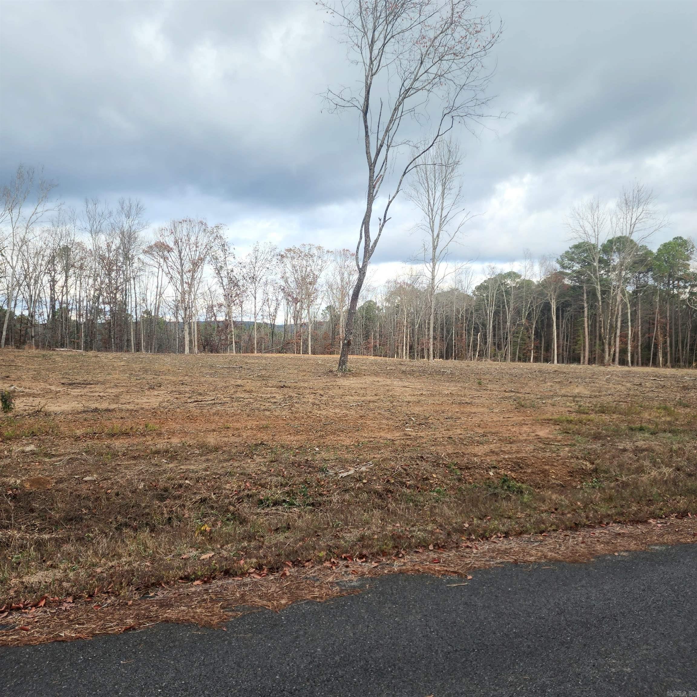 0 The Bluffs  Edgemont, AR