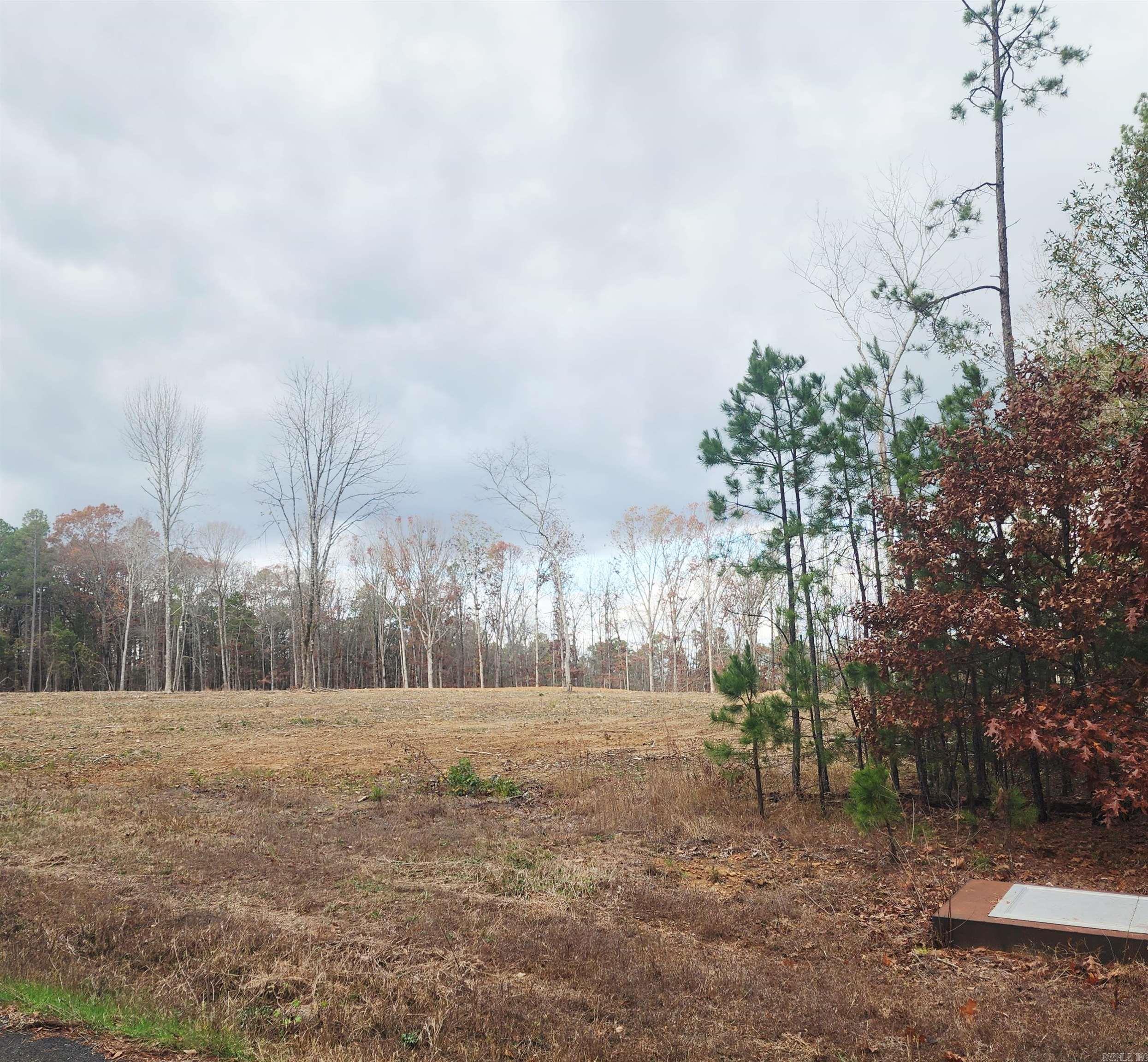 0 The Bluffs  Edgemont, AR