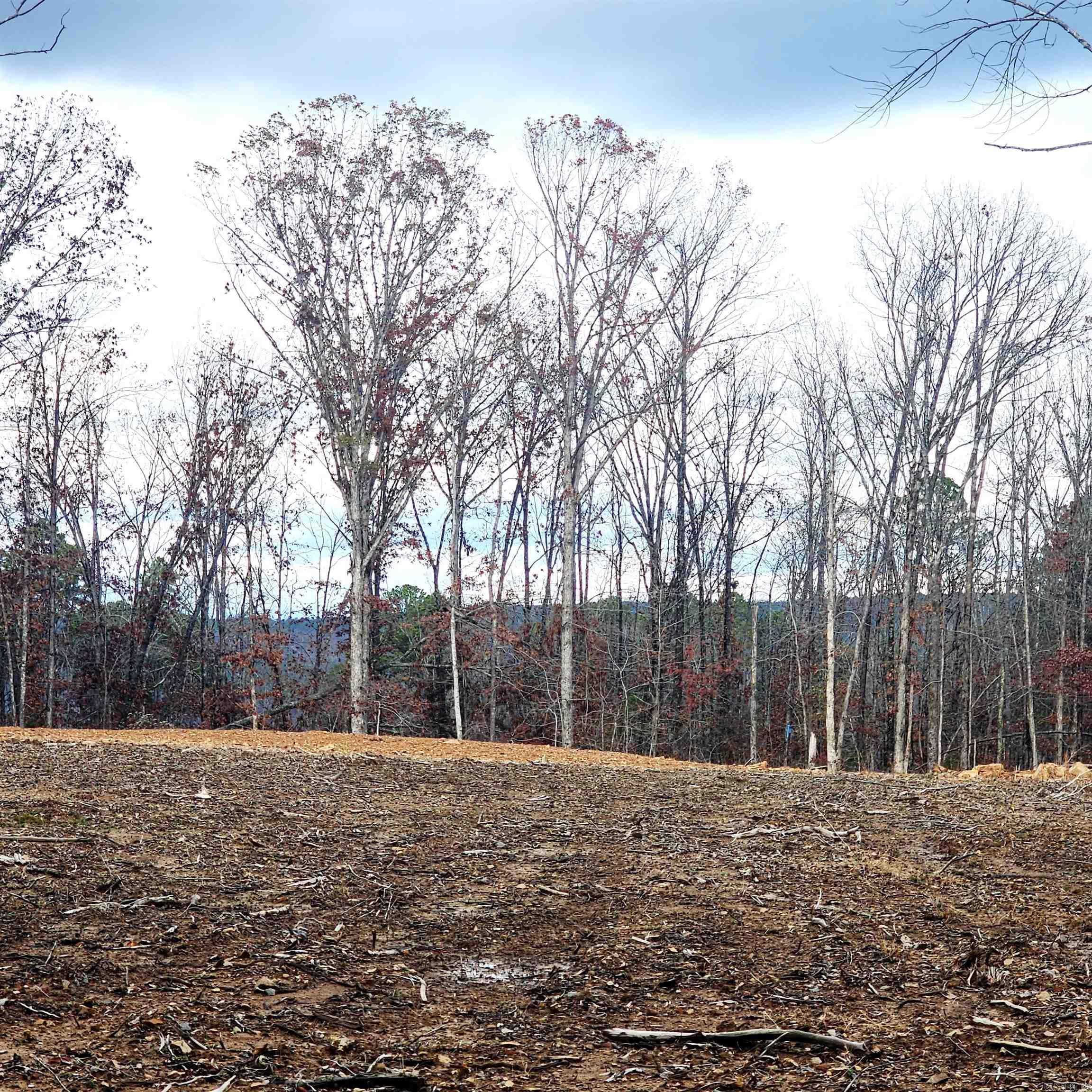 0 The Bluffs  Edgemont, AR