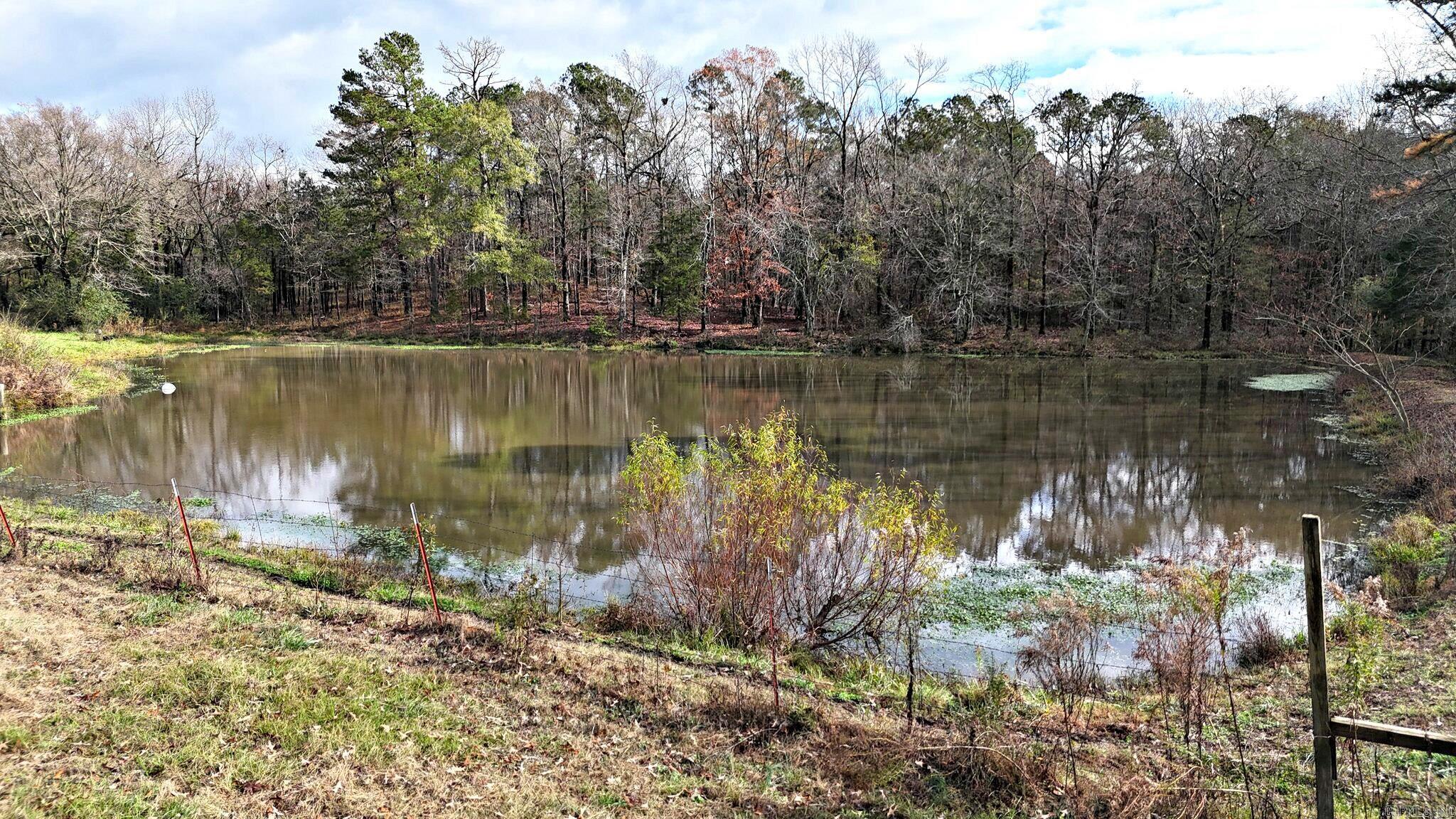 132 Polk Road 36  Hatfield, AR