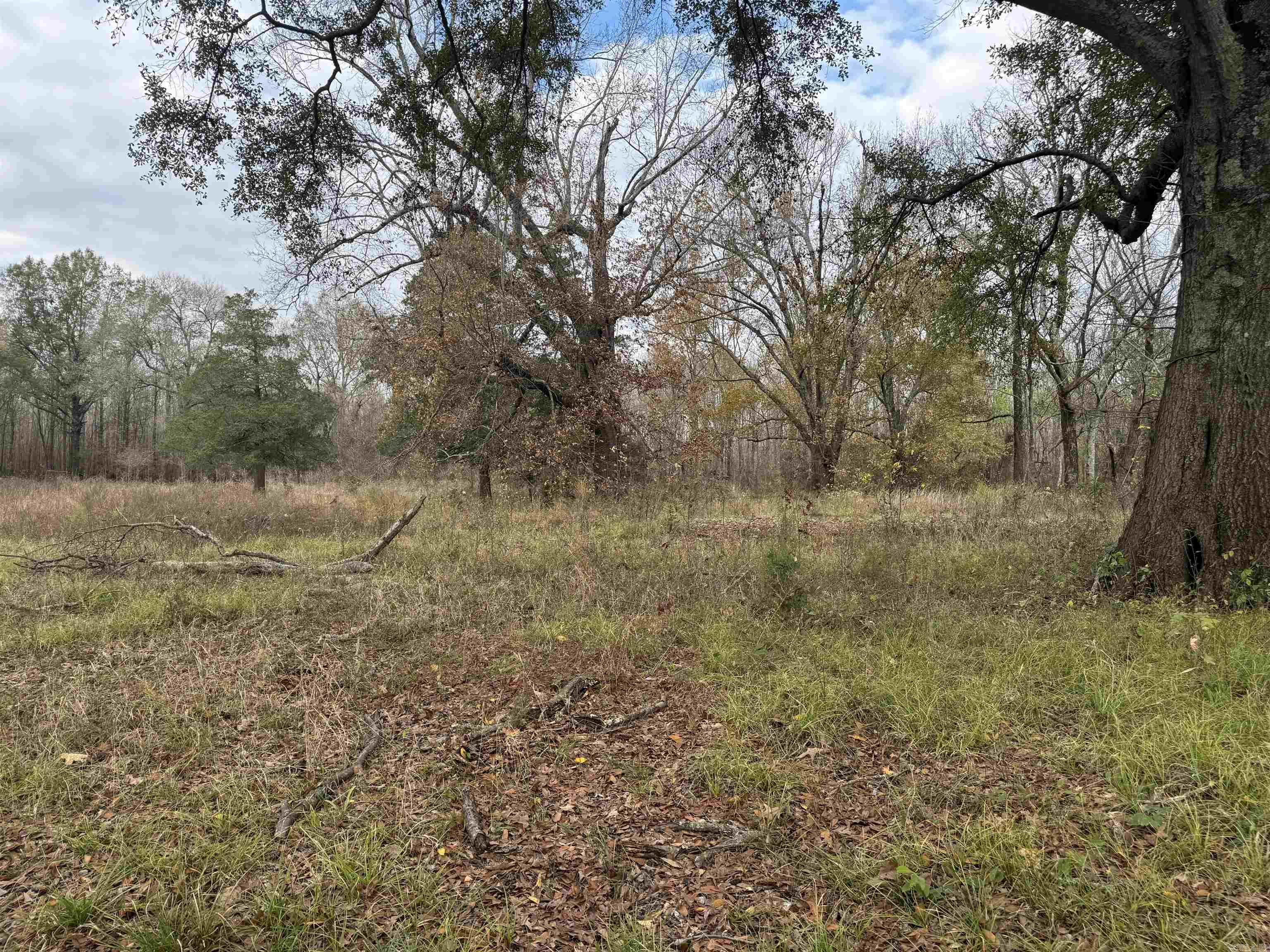 000 Jones Island  Georgetown, AR