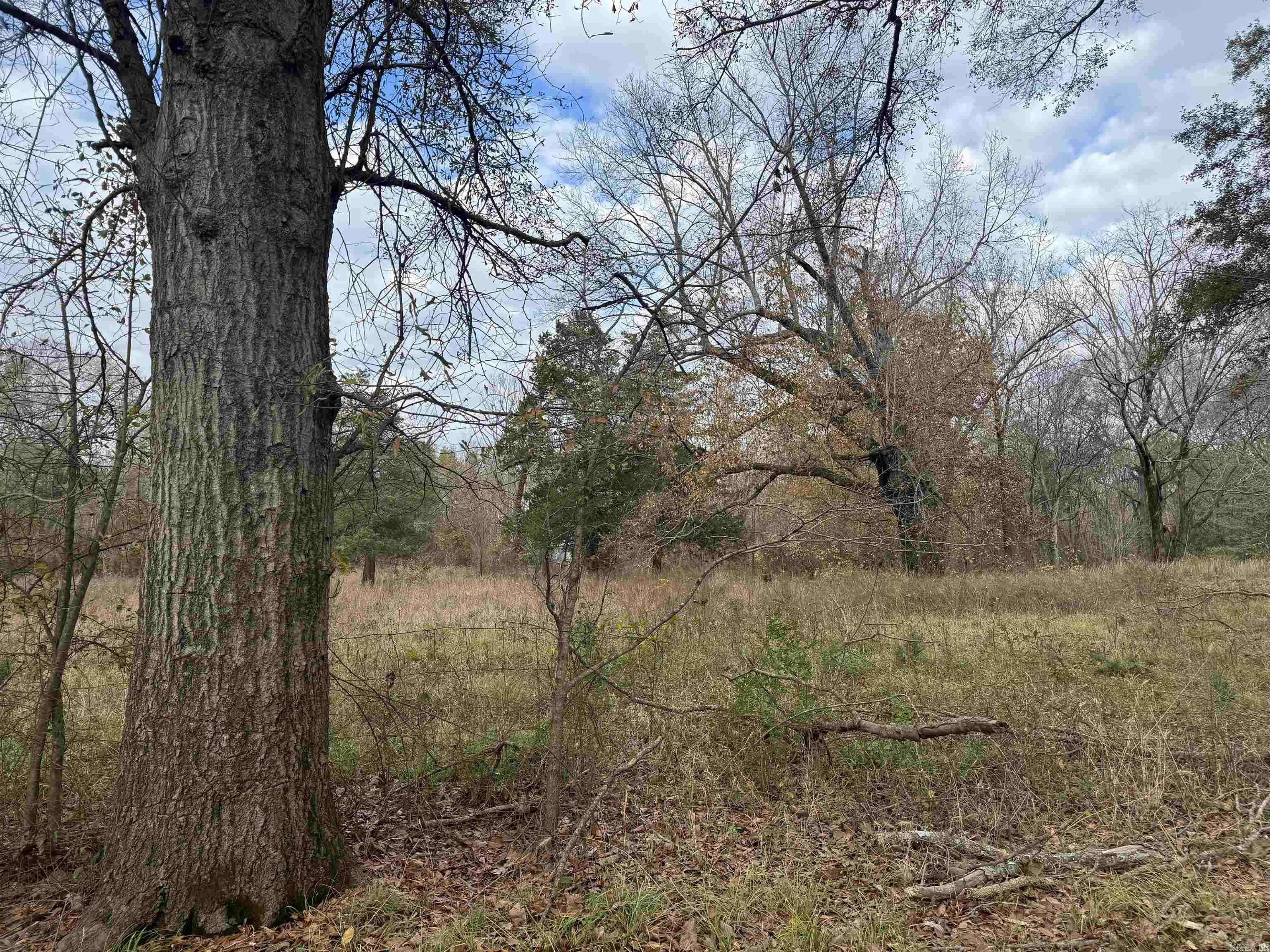 000 Jones Island  Georgetown, AR