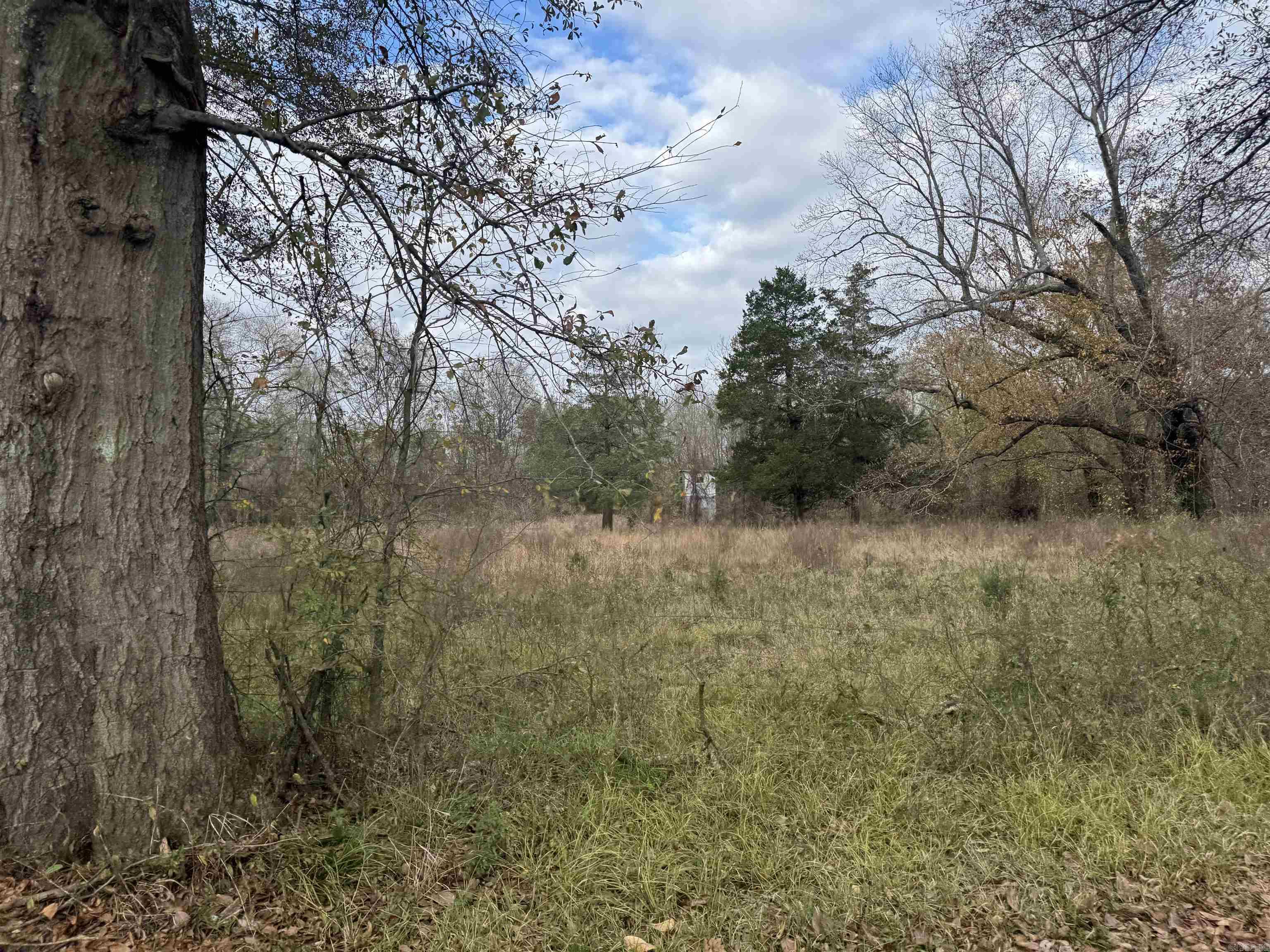 000 Jones Island  Georgetown, AR