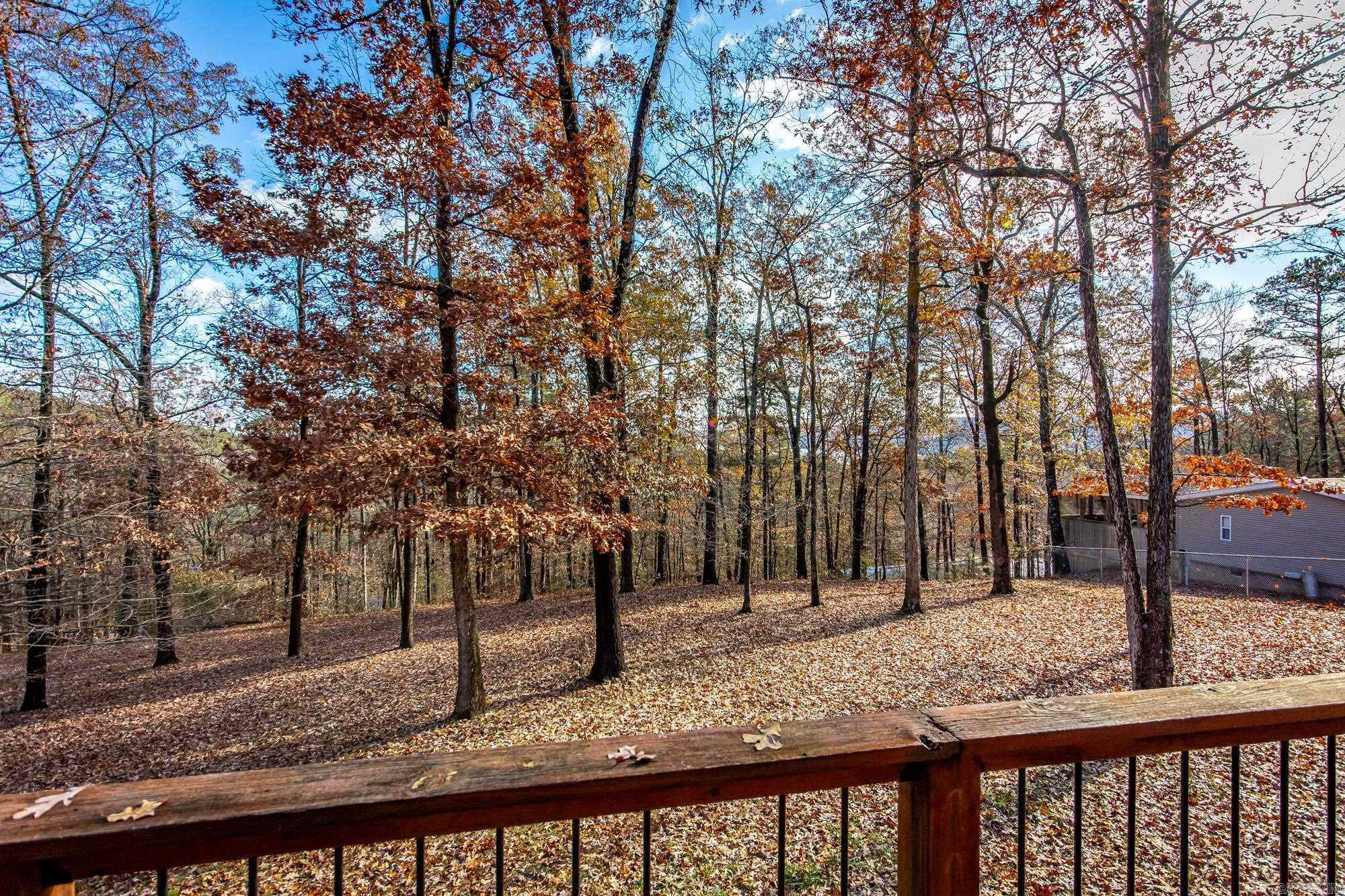 94 Jerry Ln. Quitman, AR 72131