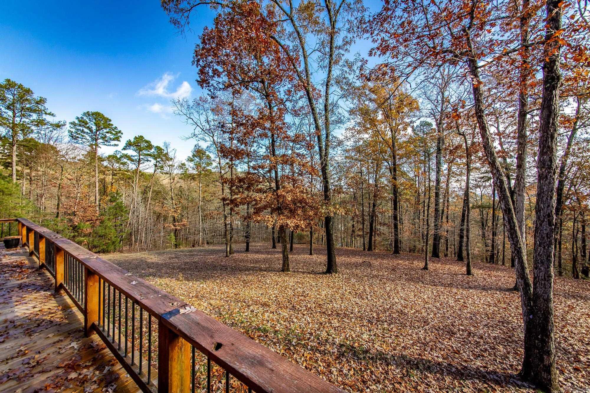 94 Jerry Ln. Quitman, AR 72131