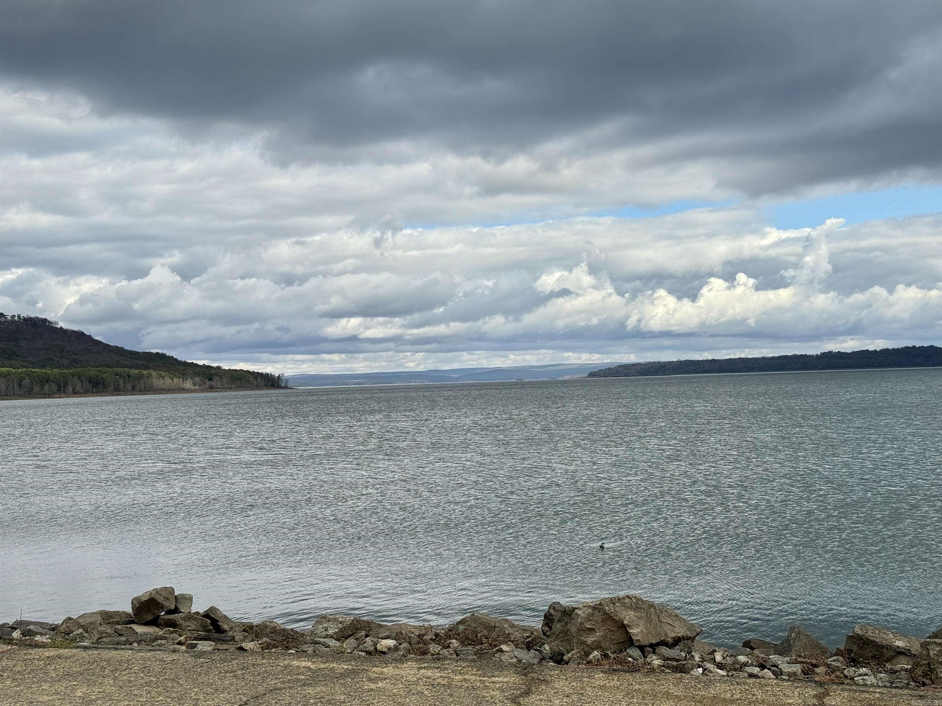 94 Jerry Ln. Quitman, AR 72131