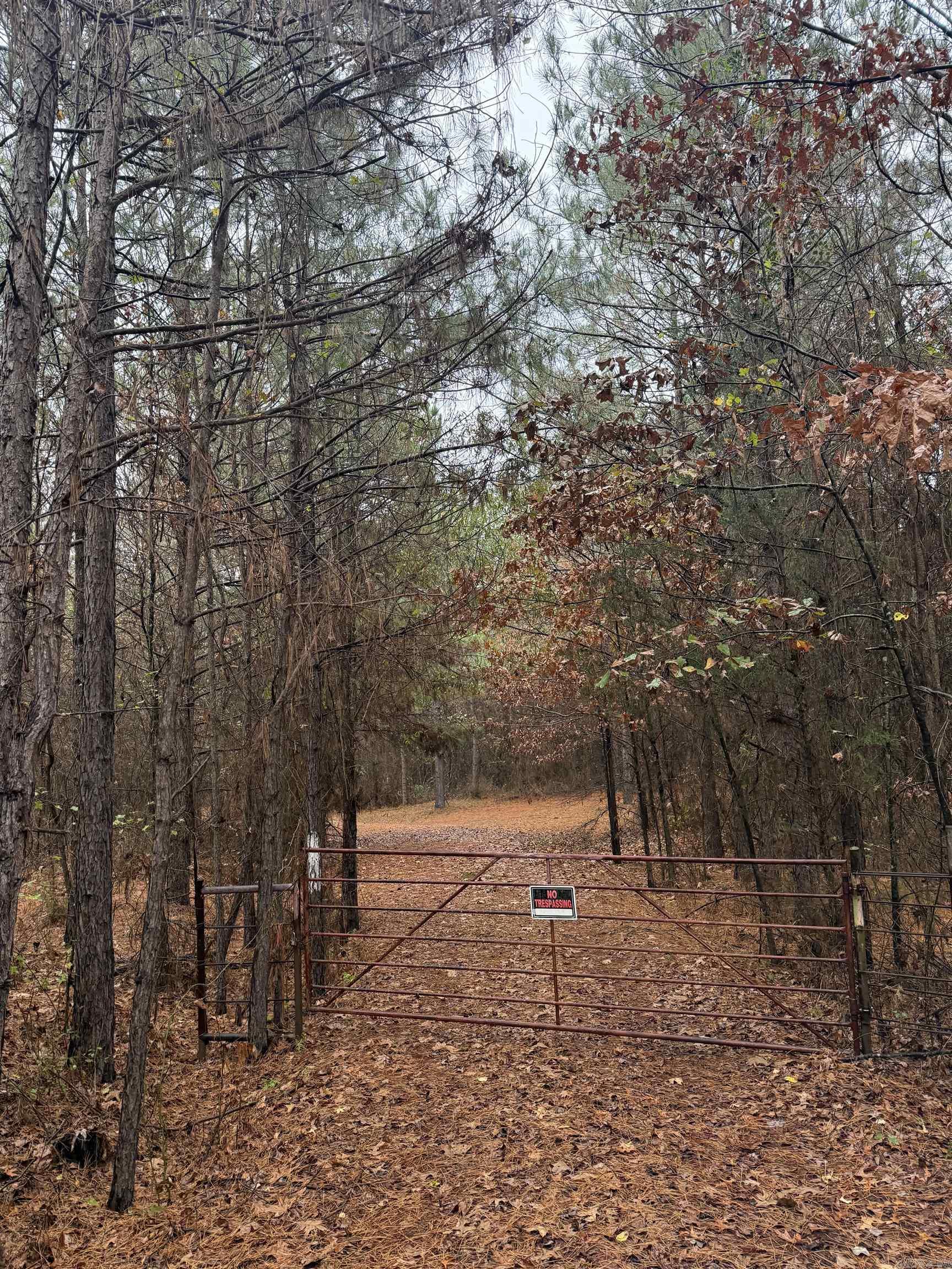 TBD Loan Oak  Lockesburg, AR