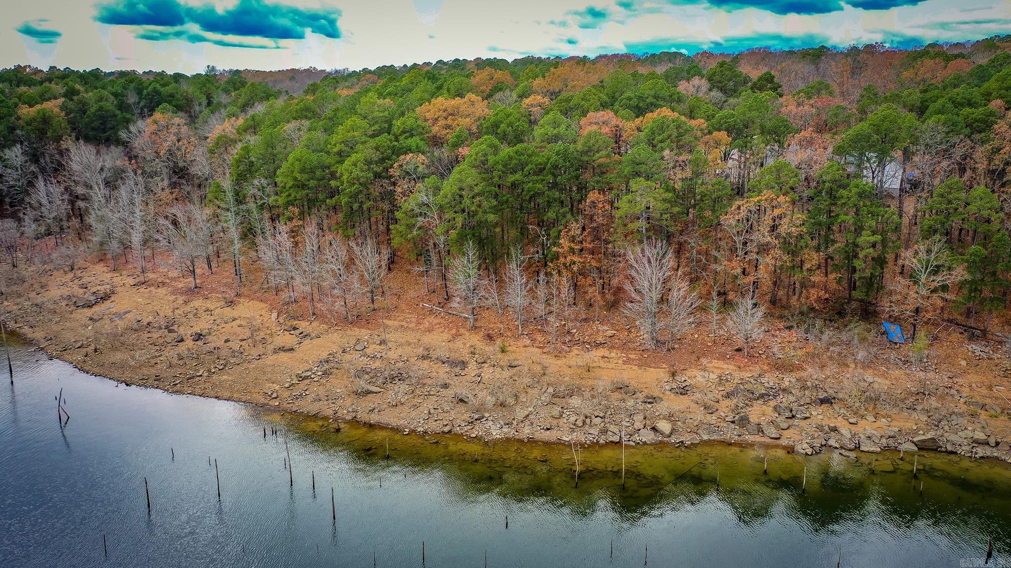 455 EAST SHORE  Drasco, AR