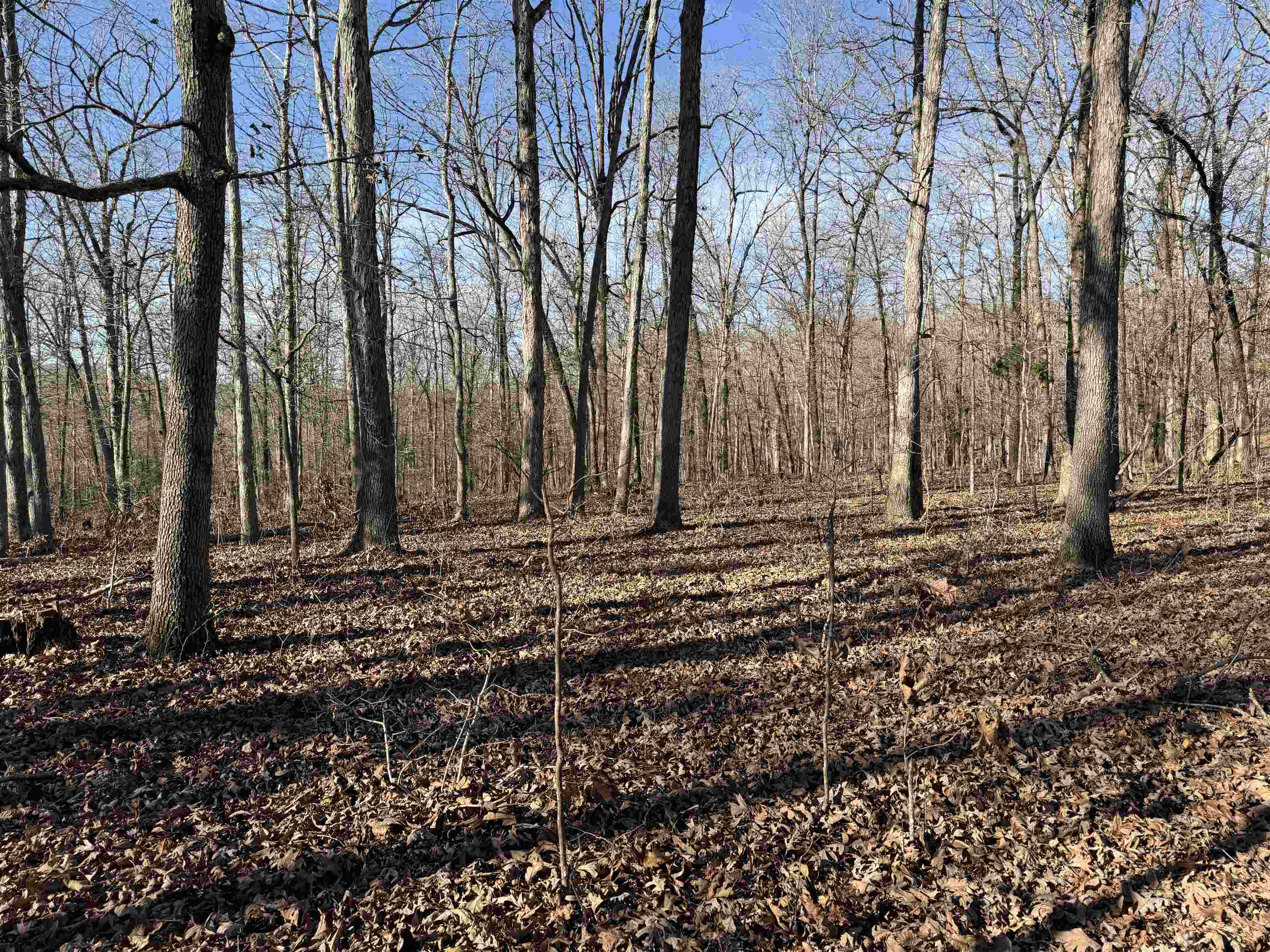 00 Hwy 63  Ravenden, AR