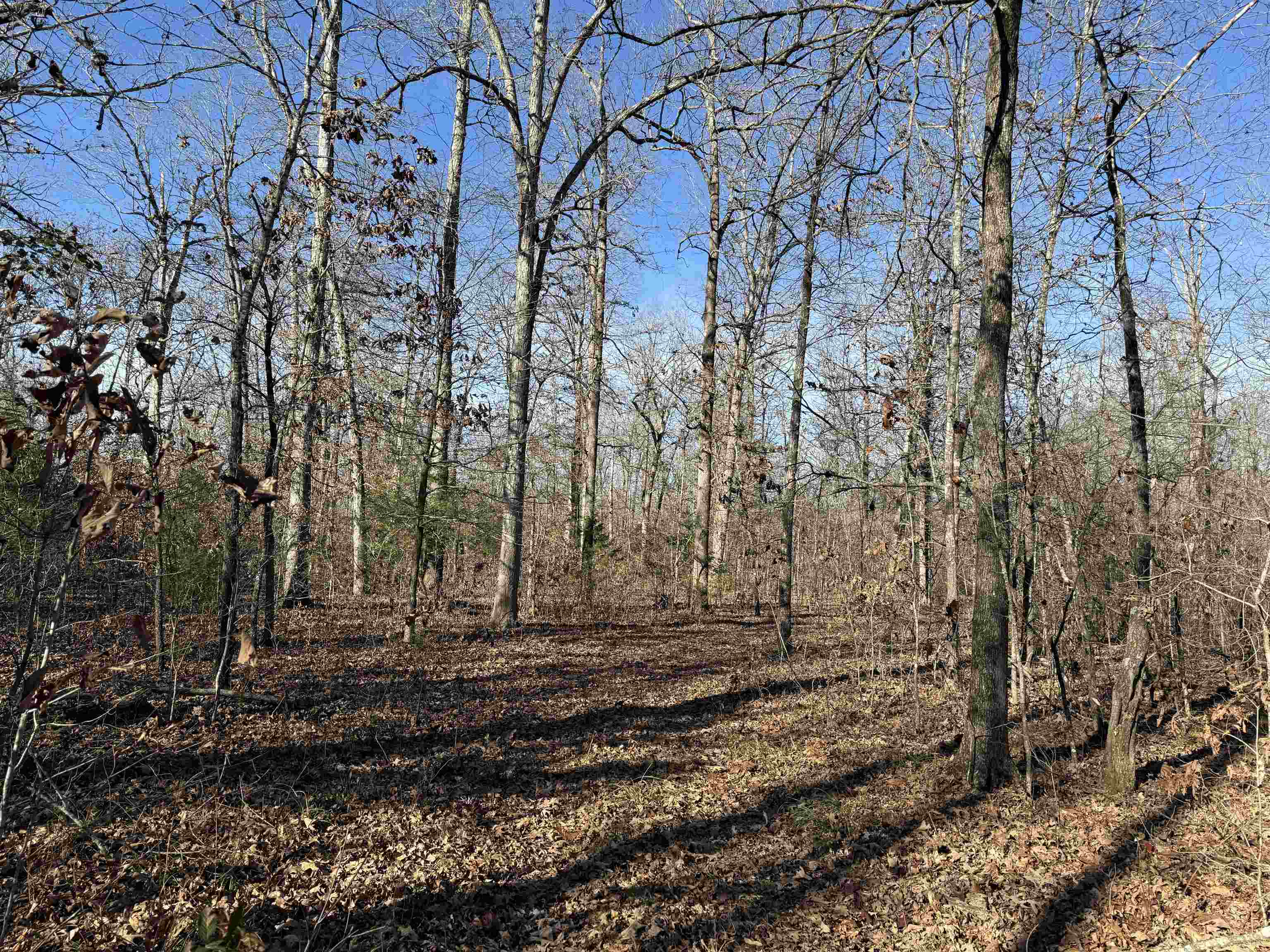 00 Hwy 63  Ravenden, AR