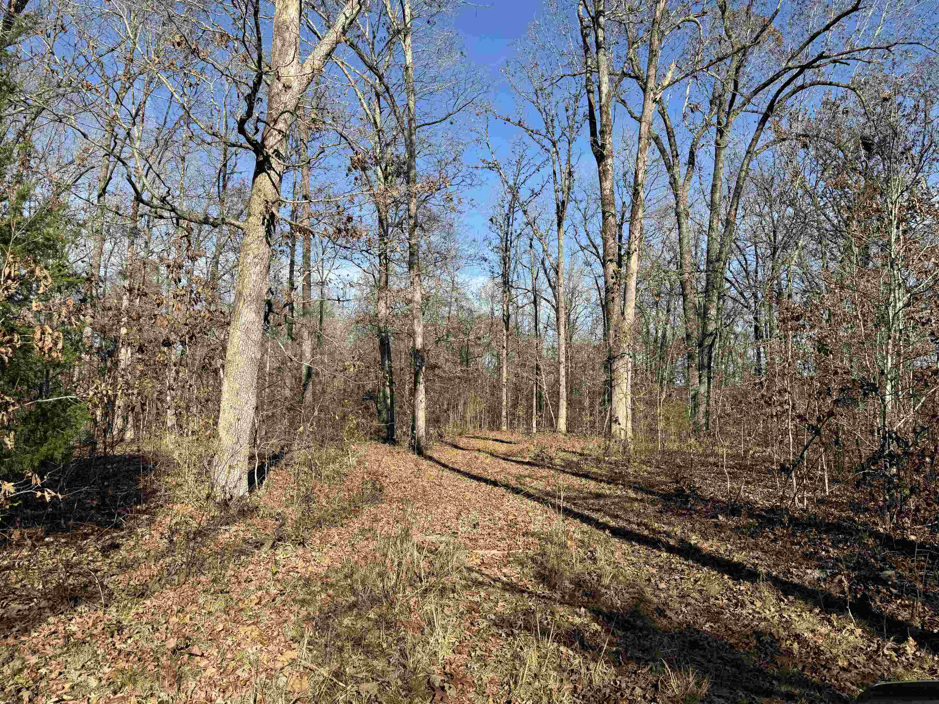 00 Hwy 63  Ravenden, AR