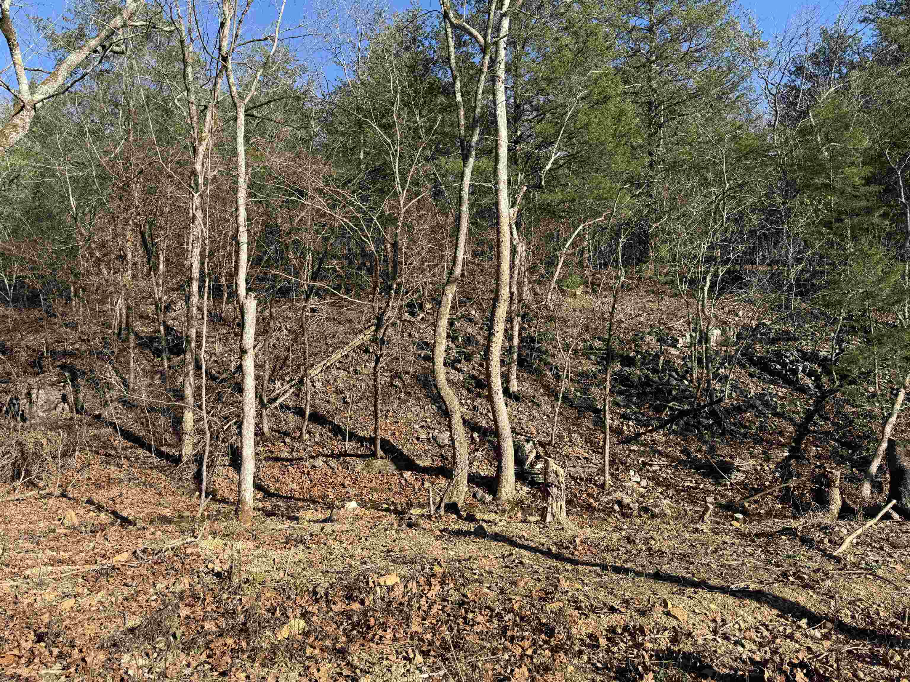 00 Hwy 63  Ravenden, AR