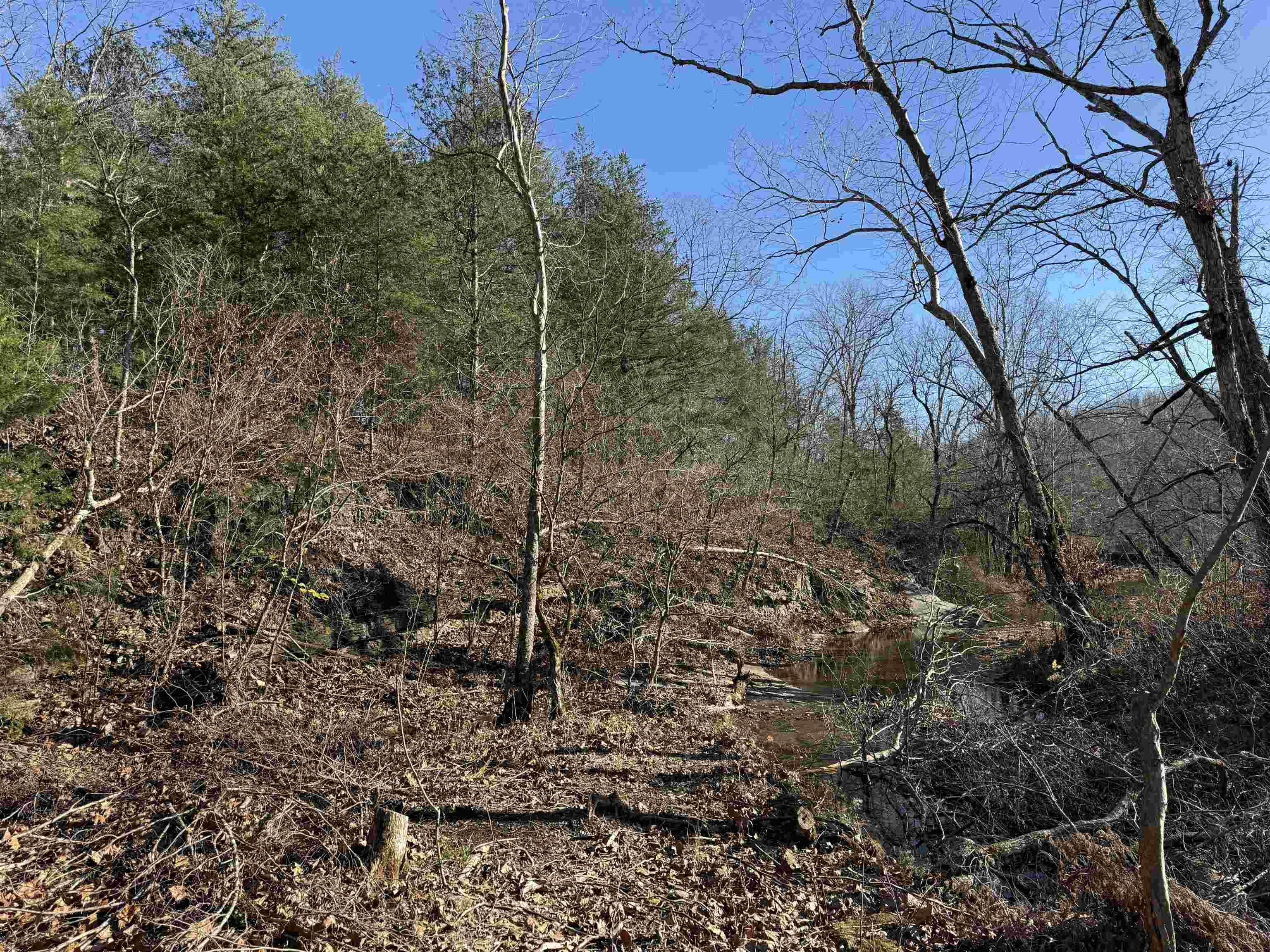 00 Hwy 63  Ravenden, AR