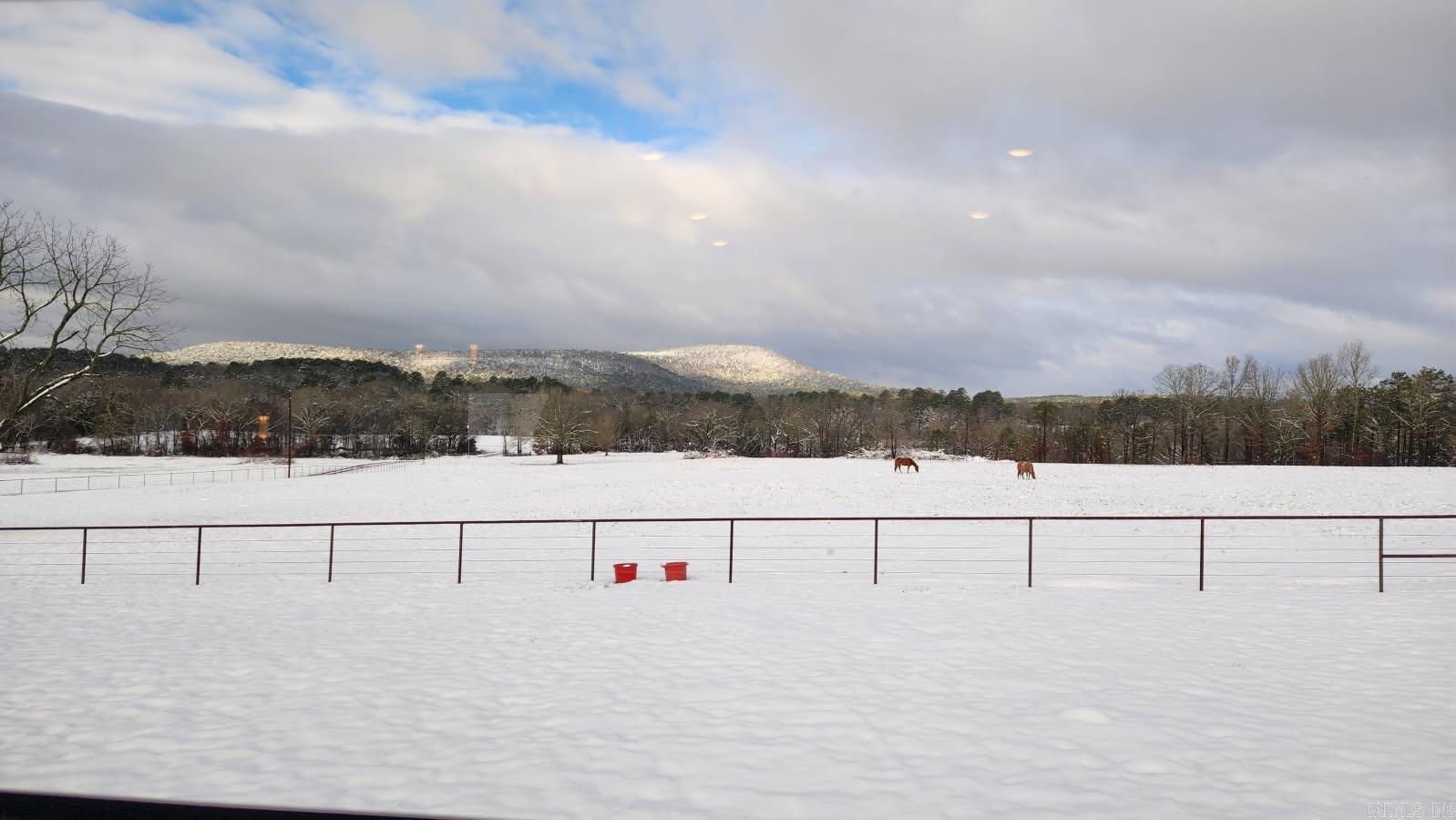 15350 Bailey Branch  Danville, AR