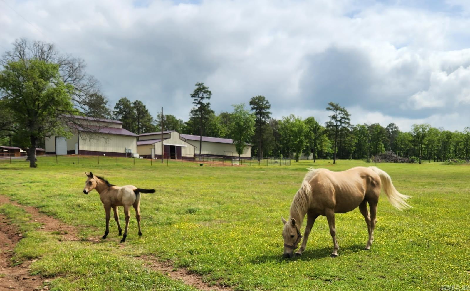 15350 Bailey Branch  Danville, AR