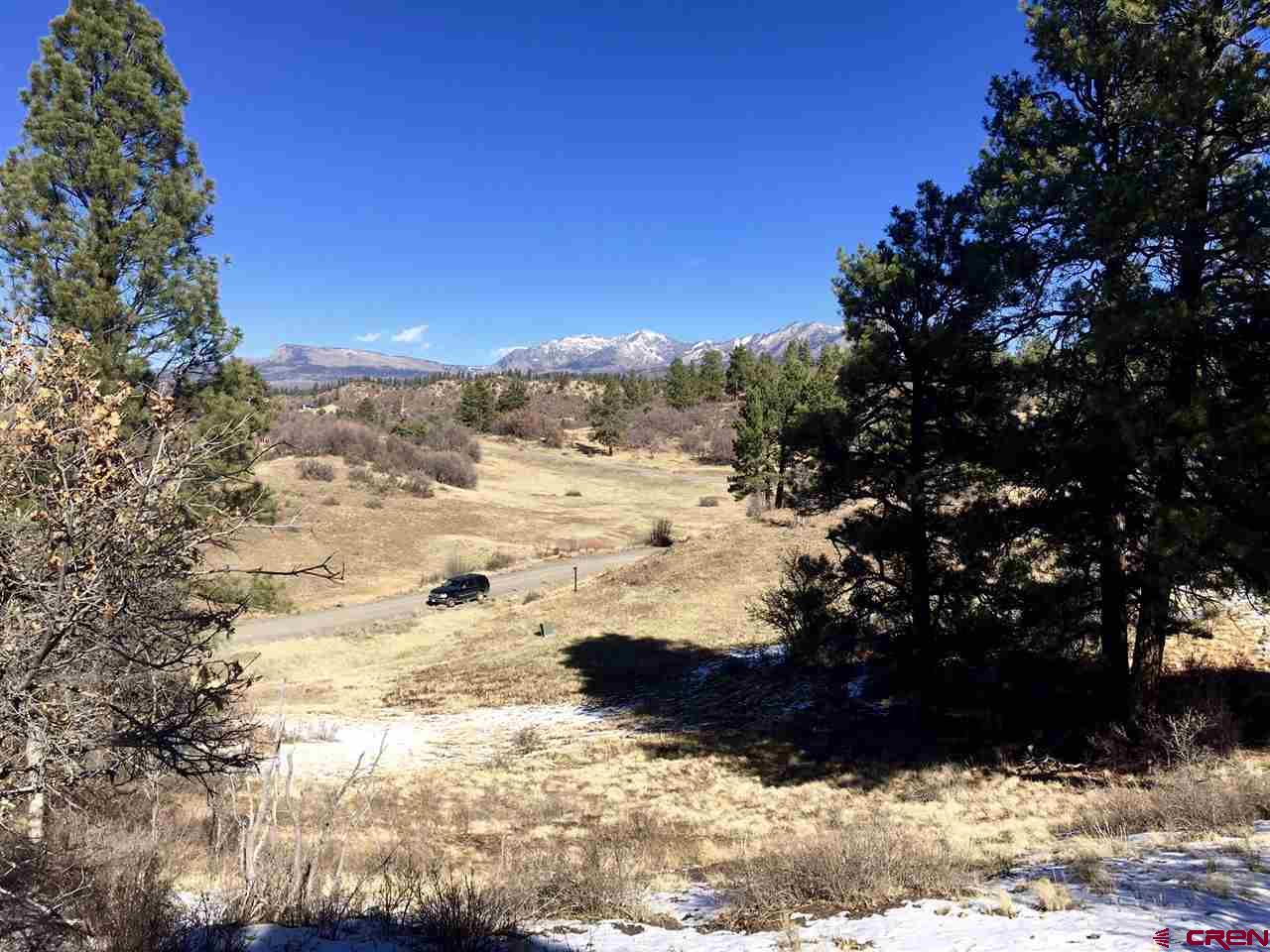 673 Spring Creek Cir, Pagosa Springs, CO 81128 Listing Photo  4