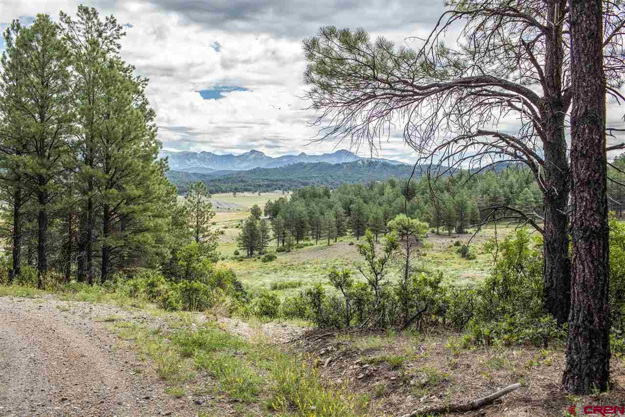 2569A County Rd. 119, Pagosa Springs, CO 81147 Listing Photo  11