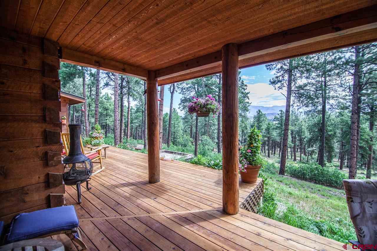 2569A County Rd. 119, Pagosa Springs, CO 81147 Listing Photo  21