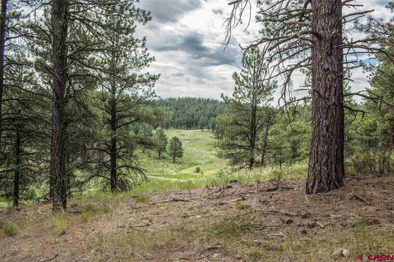 2569A County Rd. 119, Pagosa Springs, CO 81147 Listing Photo  22