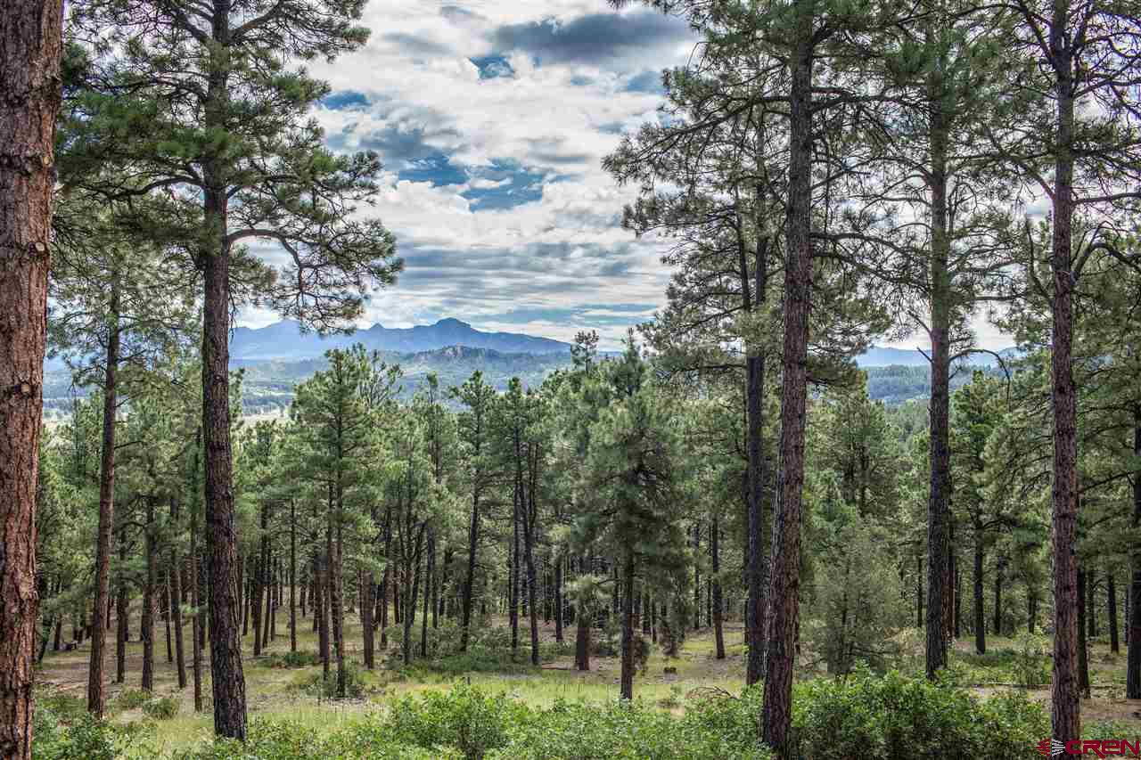 2569A County Rd. 119, Pagosa Springs, CO 81147 Listing Photo  5