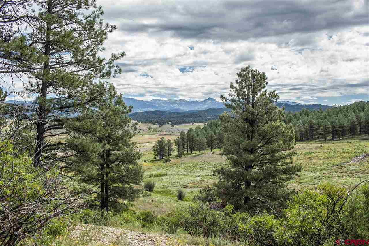 2569A County Rd. 119, Pagosa Springs, CO 81147 Listing Photo  6