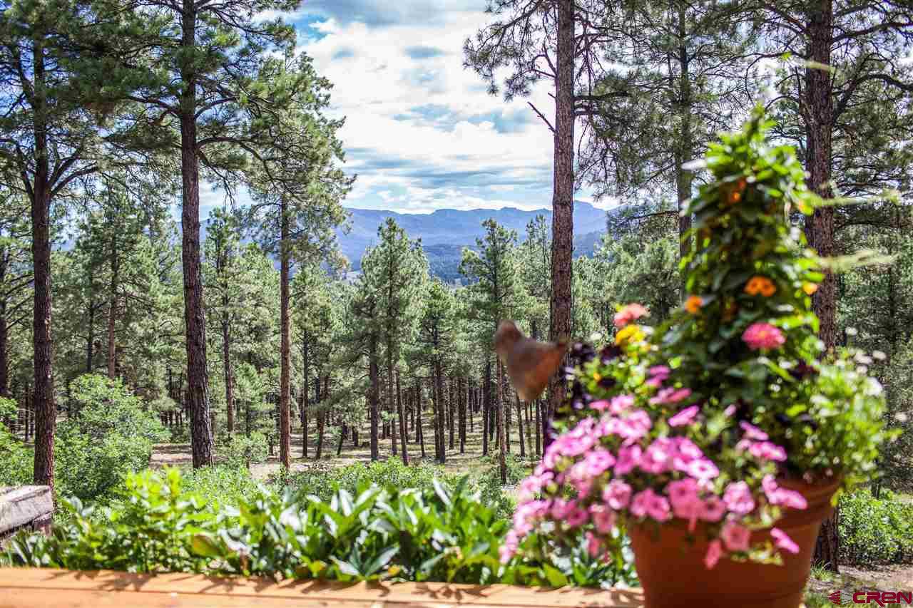 2569A County Rd. 119, Pagosa Springs, CO 81147 Listing Photo  8