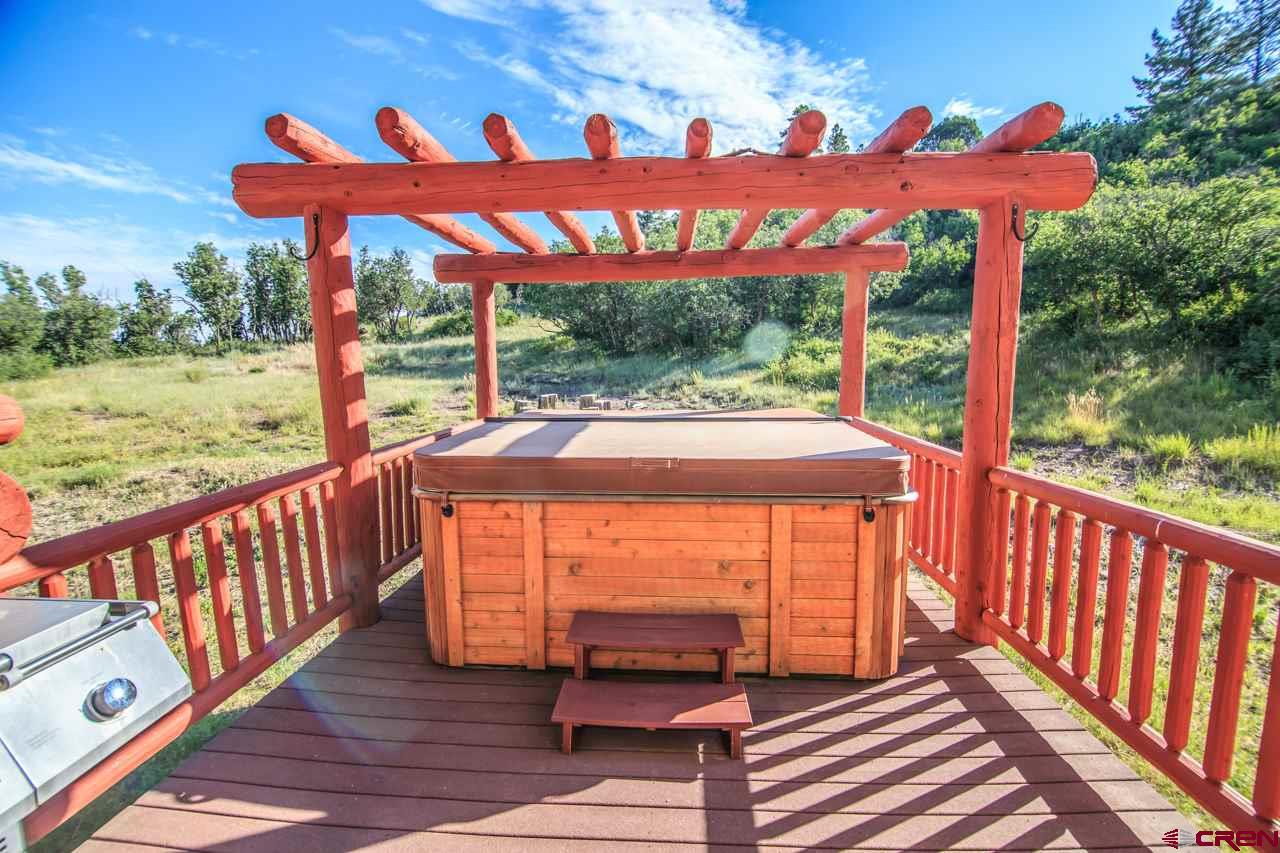 26551 HWY 84, Pagosa Springs, CO 81147 Listing Photo  5