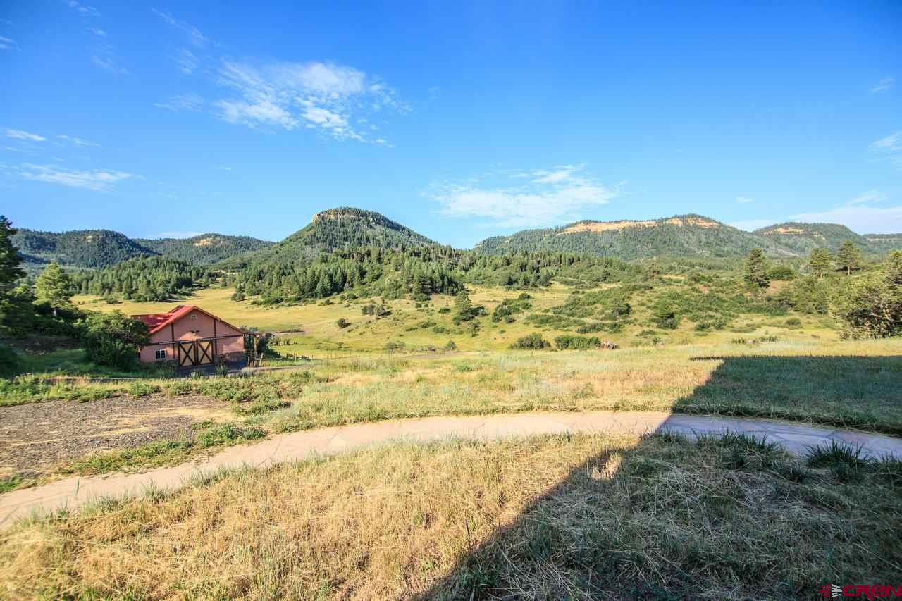 26551 HWY 84, Pagosa Springs, CO 81147 Listing Photo  6