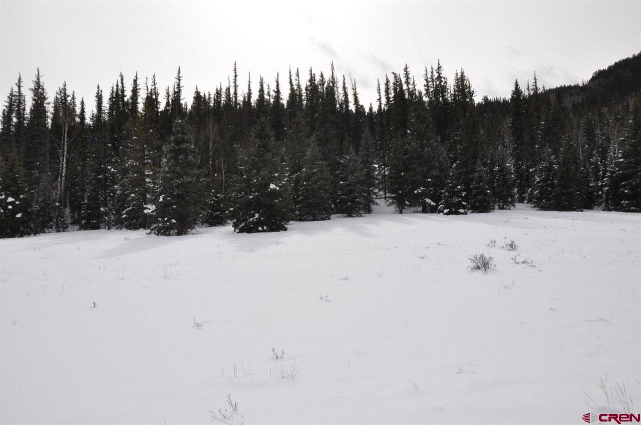 75 Toke Lane Creede CO 81130 Sold