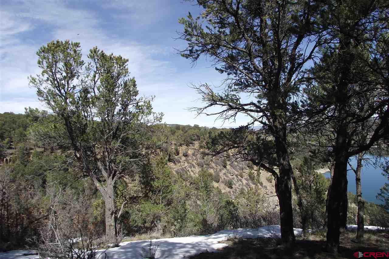 587 Waterview Cove Ridgway CO 81432 Sold