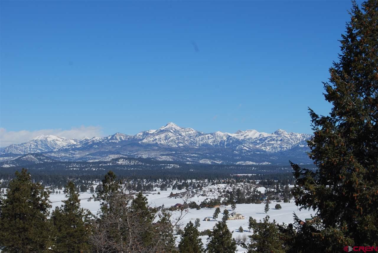 881 Hersch Avenue, Pagosa Springs, CO 81147 Listing Photo  25