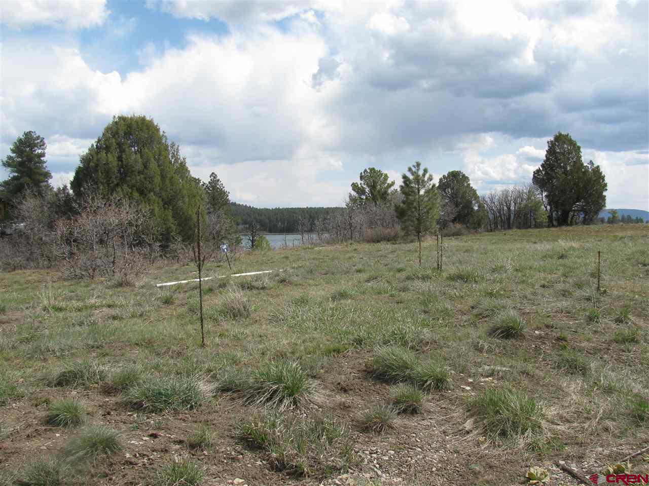 Cheap Land in Colorado For Sale