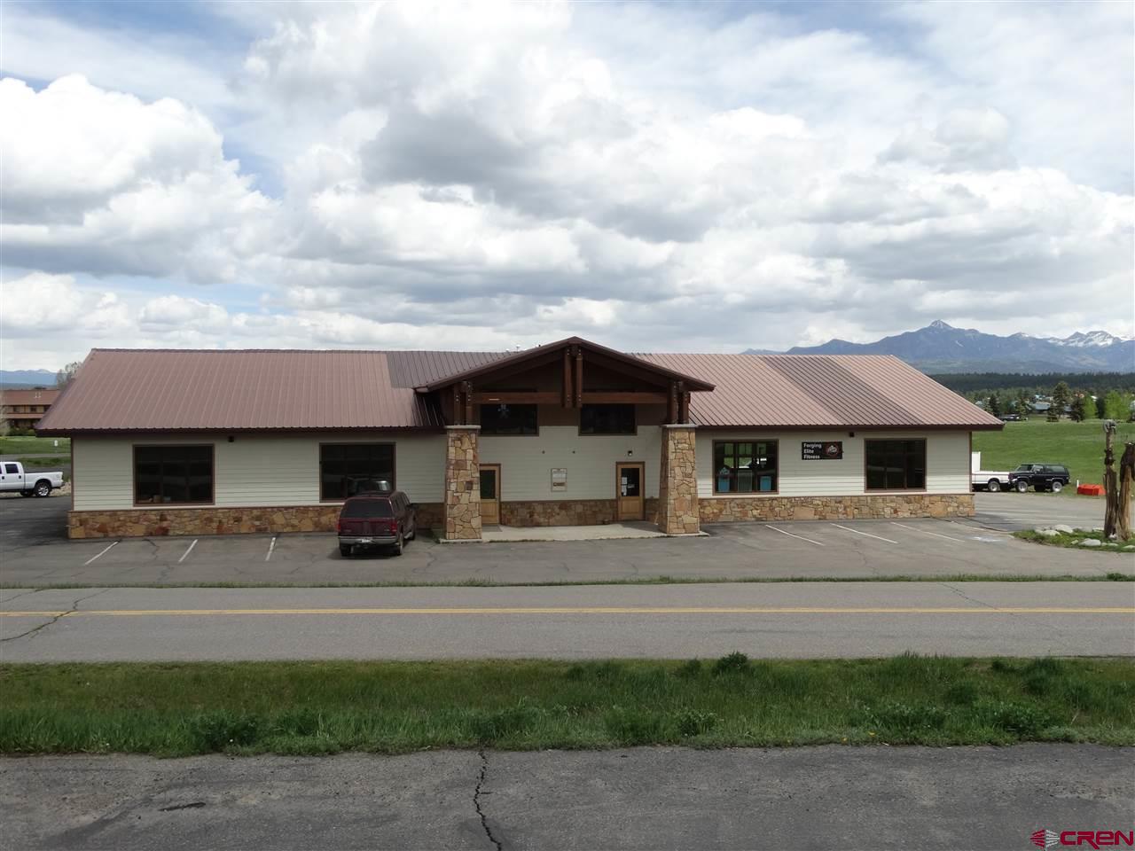 81 Greenbrier Drive, Pagosa Springs, CO 81147 Listing Photo  2