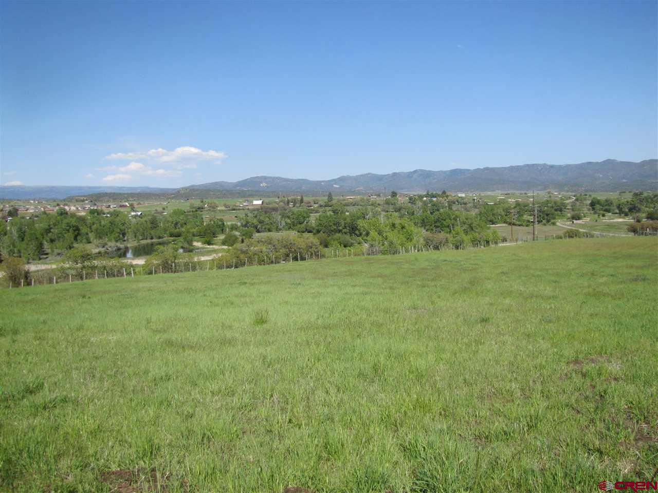 5947 County Road 516, Bayfield, CO 81122 Listing Photo  3