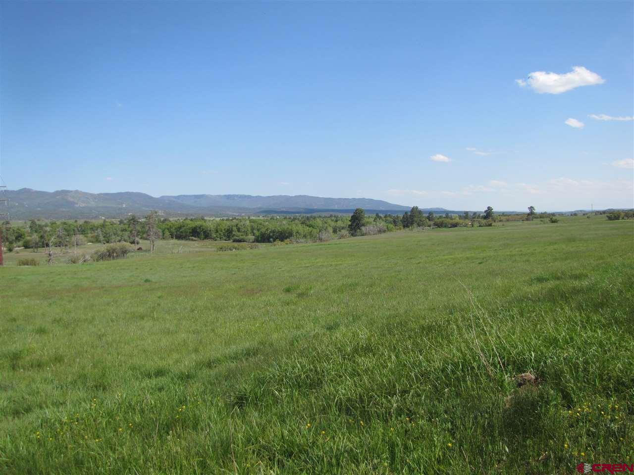 5947 County Road 516, Bayfield, CO 81122 Listing Photo  4