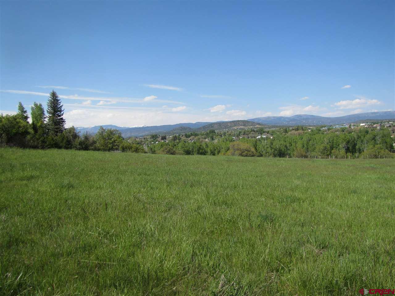5947 County Road 516, Bayfield, CO 81122 Listing Photo  6