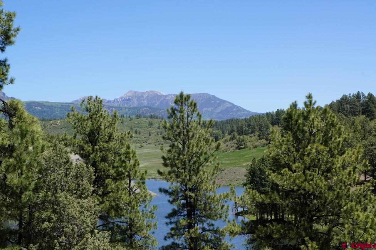 3001 Hidden Valley Drive, Pagosa Springs, CO 81147 Listing Photo  8