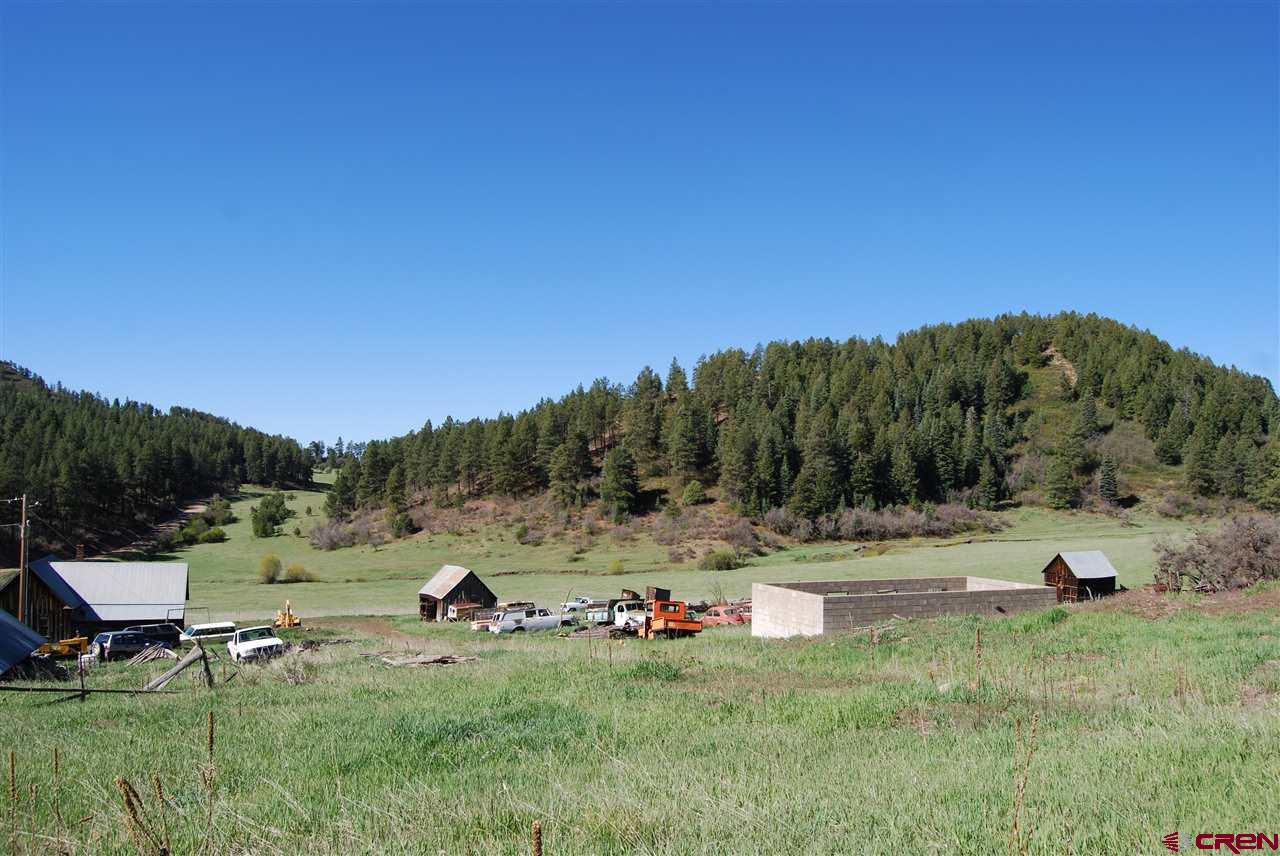 10315 County Road 502, Bayfield, CO 81122 Listing Photo  13