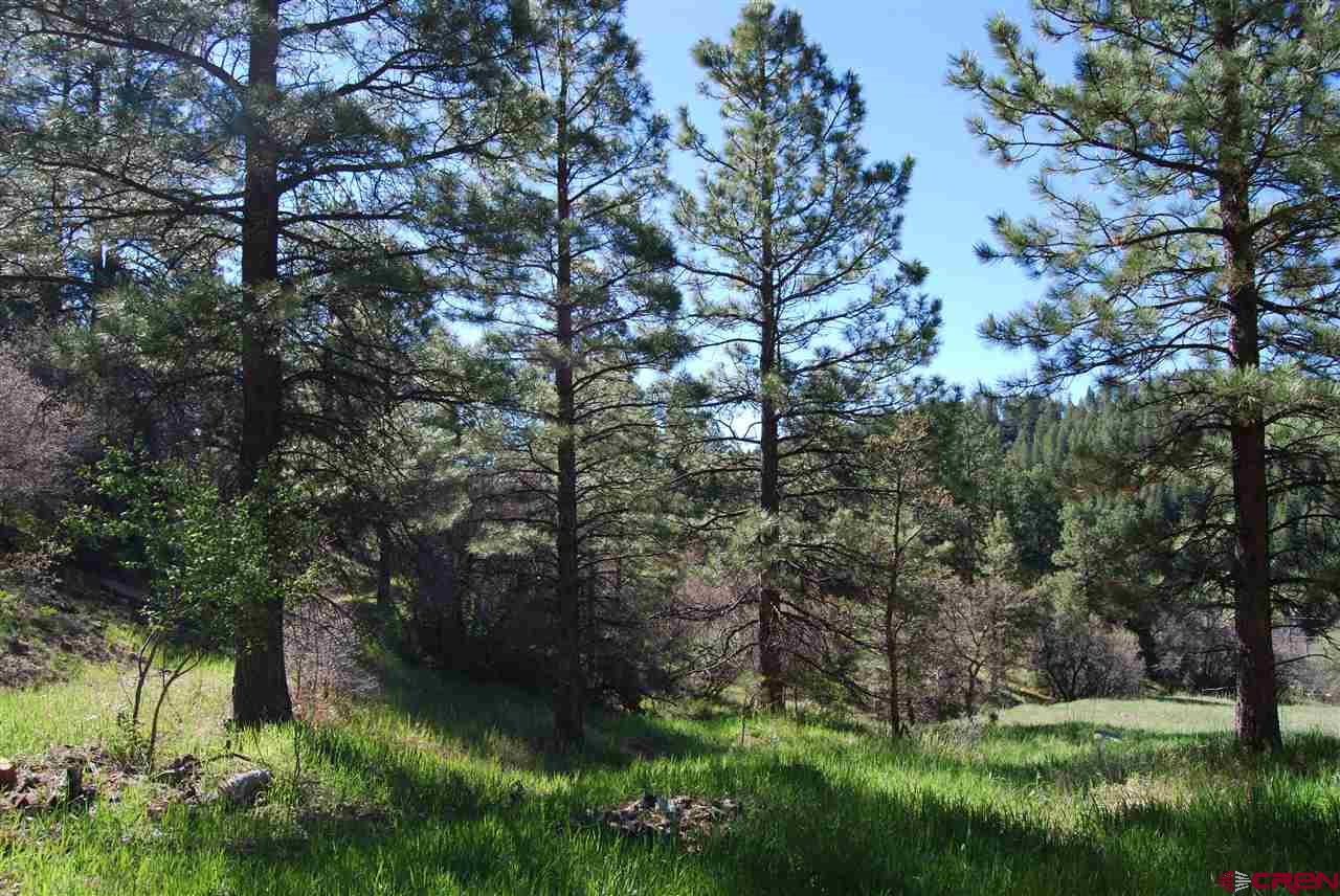 10315 County Road 502, Bayfield, CO 81122 Listing Photo  14