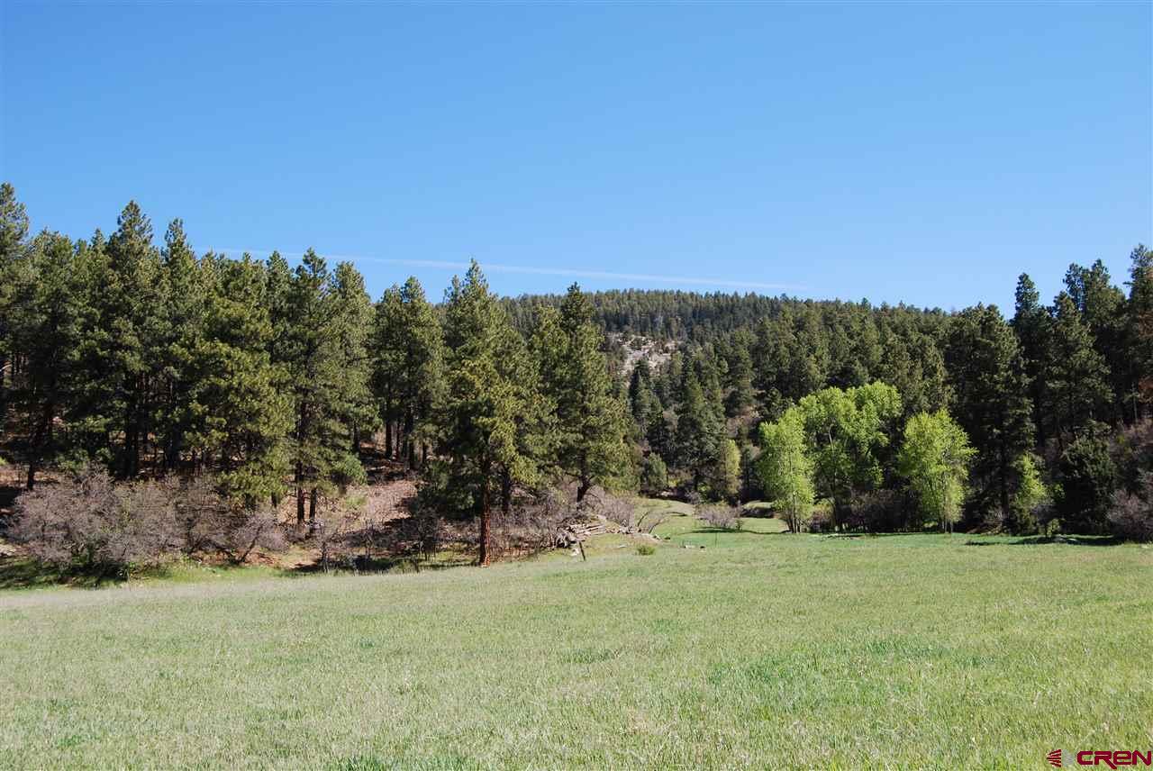 10315 County Road 502, Bayfield, CO 81122 Listing Photo  16