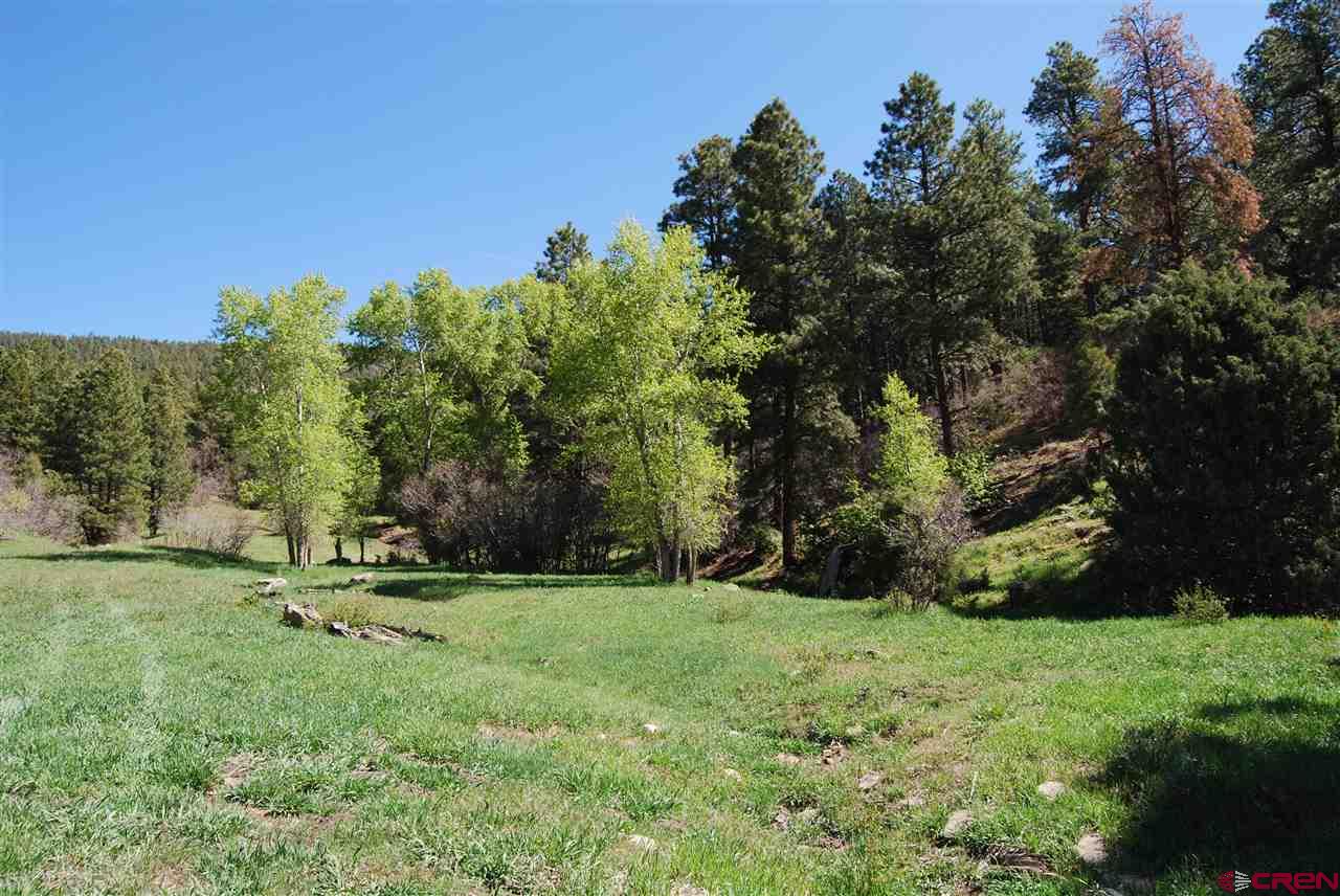 10315 County Road 502, Bayfield, CO 81122 Listing Photo  17