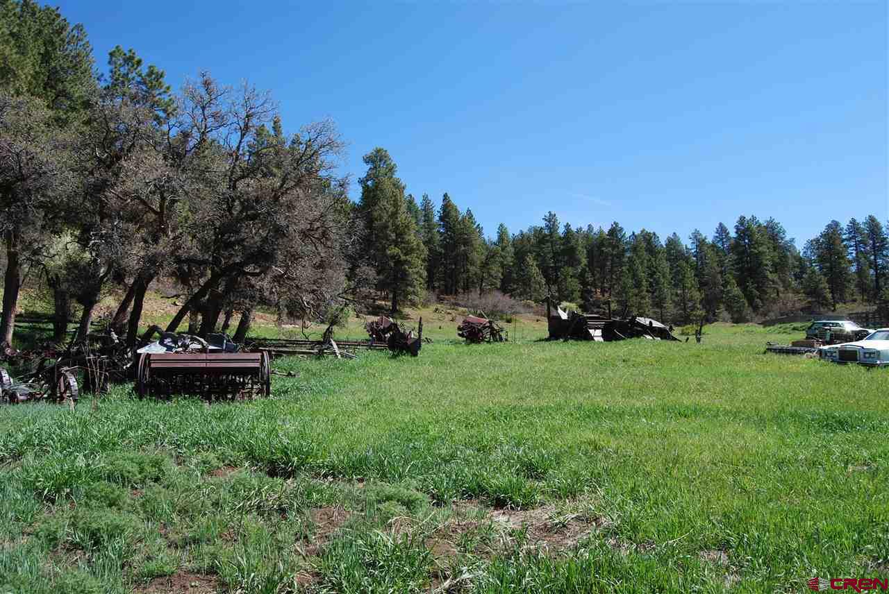 10315 County Road 502, Bayfield, CO 81122 Listing Photo  19