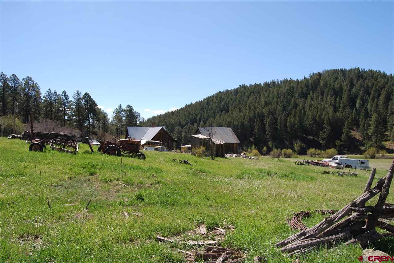 10315 County Road 502, Bayfield, CO 81122 Listing Photo  20