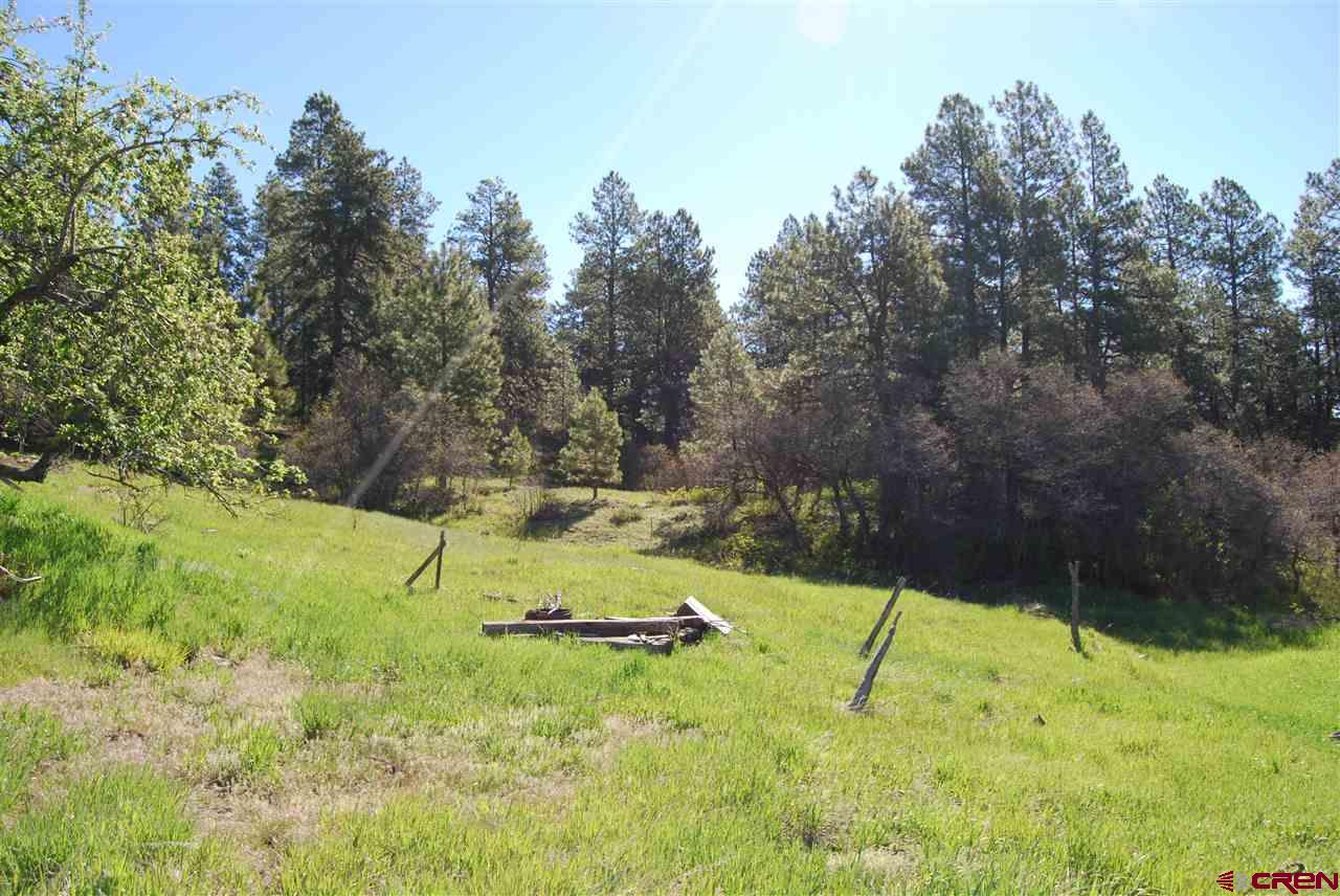 10315 County Road 502, Bayfield, CO 81122 Listing Photo  22