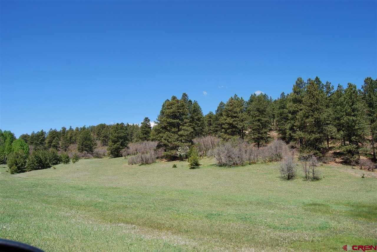 10315 County Road 502, Bayfield, CO 81122 Listing Photo  4