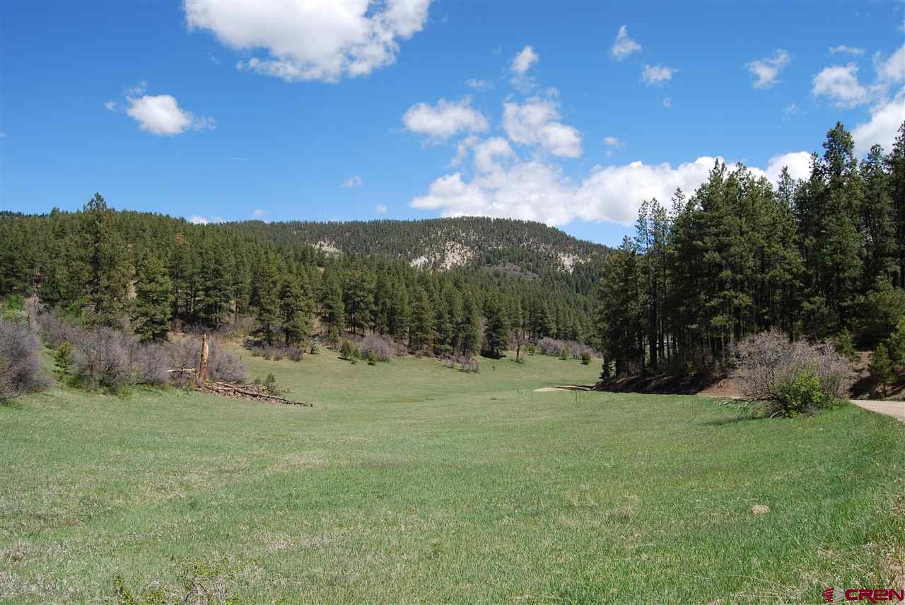 10315 County Road 502, Bayfield, CO 81122 Listing Photo  6