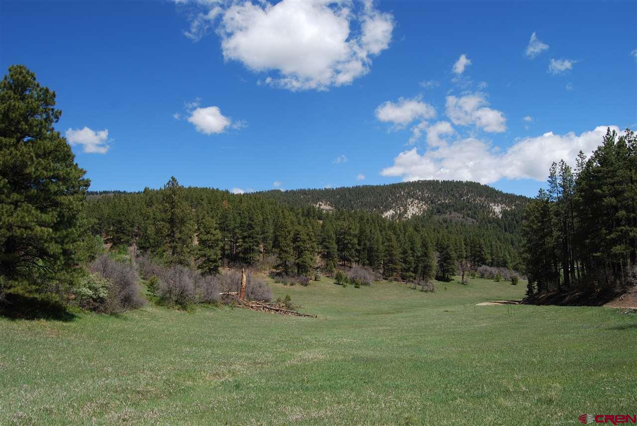 10315 County Road 502, Bayfield, CO 81122 Listing Photo  8