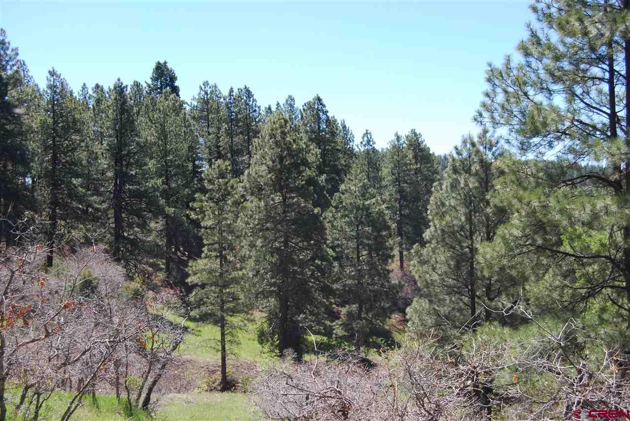 10315 County Road 502, Bayfield, CO 81122 Listing Photo  10