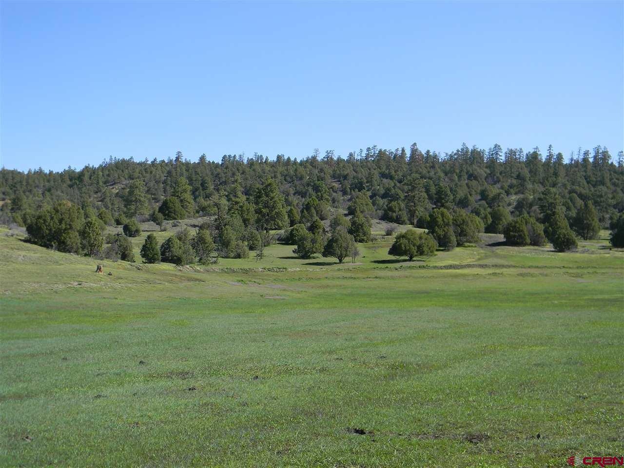 x County Road 700, Pagosa Springs, CO 81147 Listing Photo  20