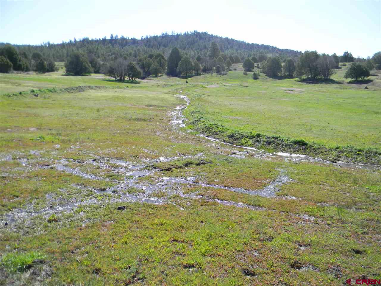 x County Road 700, Pagosa Springs, CO 81147 Listing Photo  23